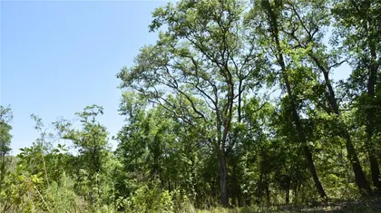 MELROSE FL Property