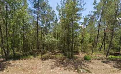HOMOSASSA FL Property