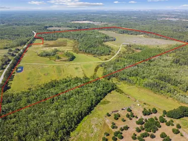 LAKE ALFRED FL Property