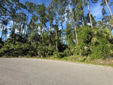 NORTH PORT FL Property
