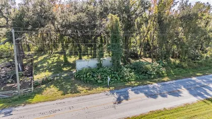 LITHIA FL Property