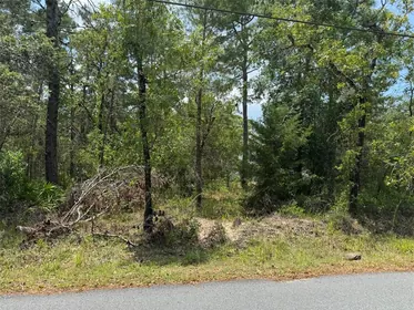 WEEKI WACHEE FL Property