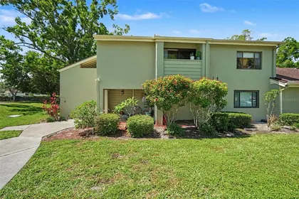 TAMPA FL Home
