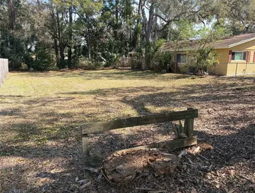 SAFETY HARBOR FL Property