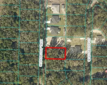 OCKLAWAHA FL Property