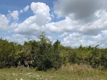 INDIAN LAKE ESTATES FL Property