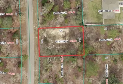 OCKLAWAHA FL Property