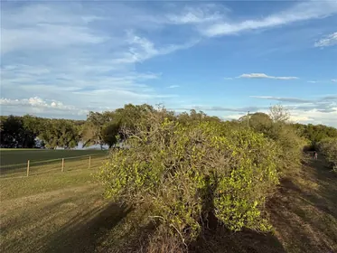 WEIRSDALE FL Property