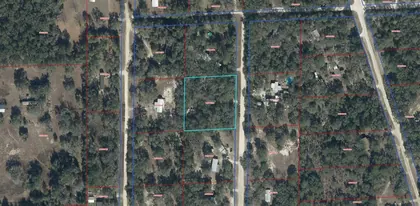 ARCHER FL Property