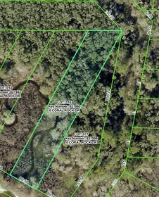 WEBSTER FL Property