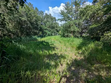 MULBERRY FL Property