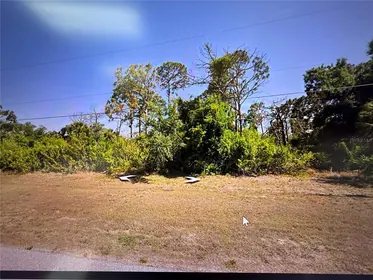 ROTONDA WEST FL Property