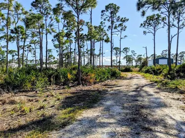 ST JAMES CITY FL Property
