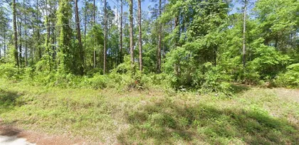 FORT MC COY FL Property