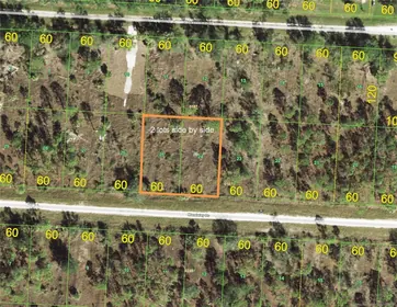 PUNTA GORDA FL Property