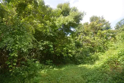 TOA ALTA PR Property