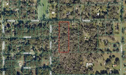 BELLEVIEW FL Property