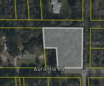 MIMS FL Property