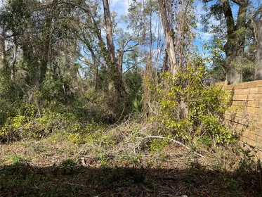 ALACHUA FL Property