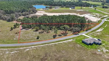 UMATILLA FL Property