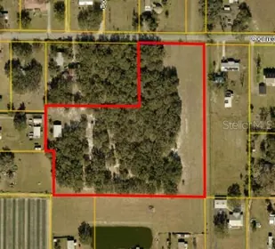 PLANT CITY FL Property