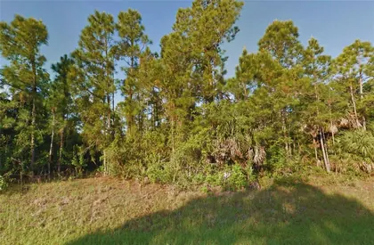 NORTH PORT FL Property
