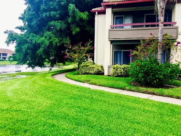 ST PETERSBURG FL Home