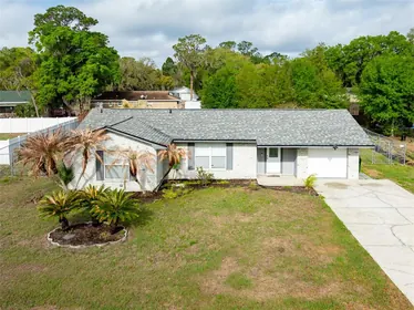 MULBERRY FL Home
