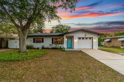 SAFETY HARBOR FL Home