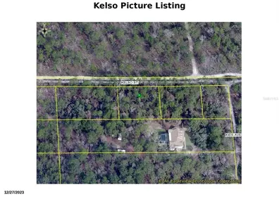 WEEKI WACHEE FL Property