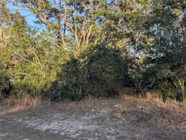 CITRUS SPRINGS FL Property