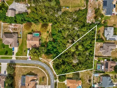 SPRING HILL FL Property