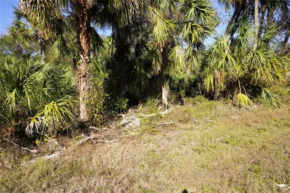 PORT CHARLOTTE FL Property