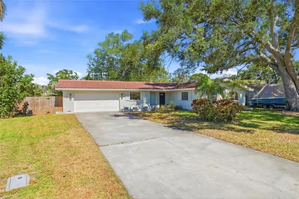 CLEARWATER FL Home