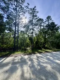 WEEKI WACHEE FL Property