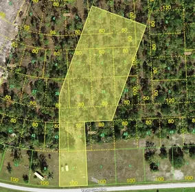 PUNTA GORDA FL Property