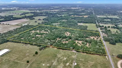 WILLISTON FL Home