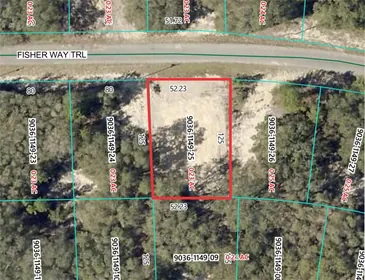 OCKLAWAHA FL Property