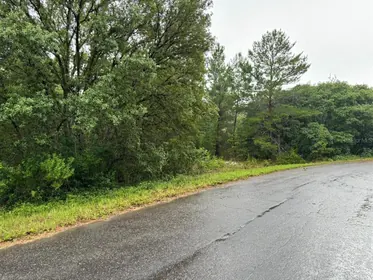 OCKLAWAHA FL Property