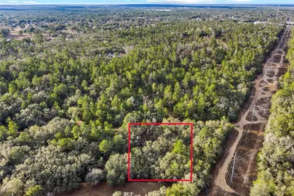 INVERNESS FL Property