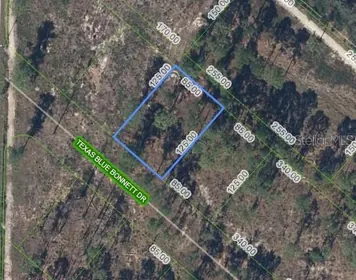 SEBRING FL Property