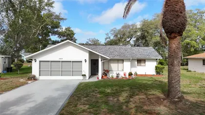 SPRING HILL FL Home