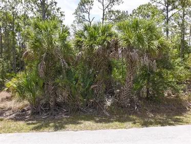 PUNTA GORDA FL Property