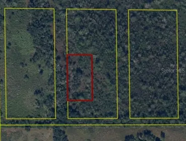 ARCADIA FL Property