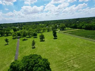 BELLEVIEW FL Property