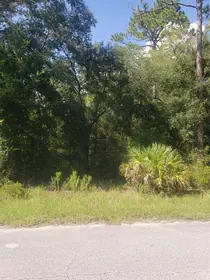 DUNNELLON FL Property