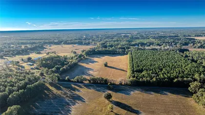 WILLISTON FL Property
