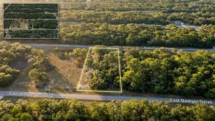 DUNNELLON FL Property