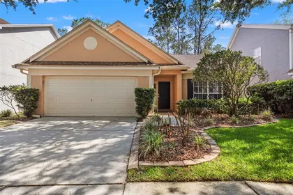 TAMPA FL Home