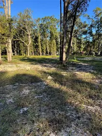 OLD TOWN FL Property